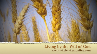 Living By the Will of God PIC