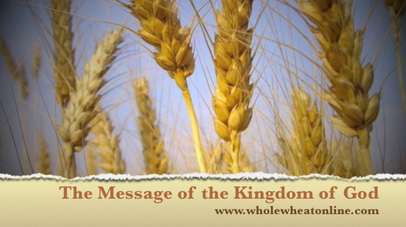Message of the Kingdom Screenshot