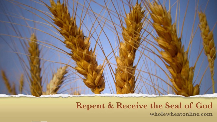NEW! Repent and Receive the Seal of God
