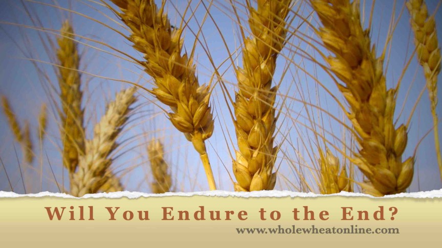 NEW! Will You Endure to the End Podcast