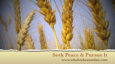 Seek Peace and Pursue it PIC