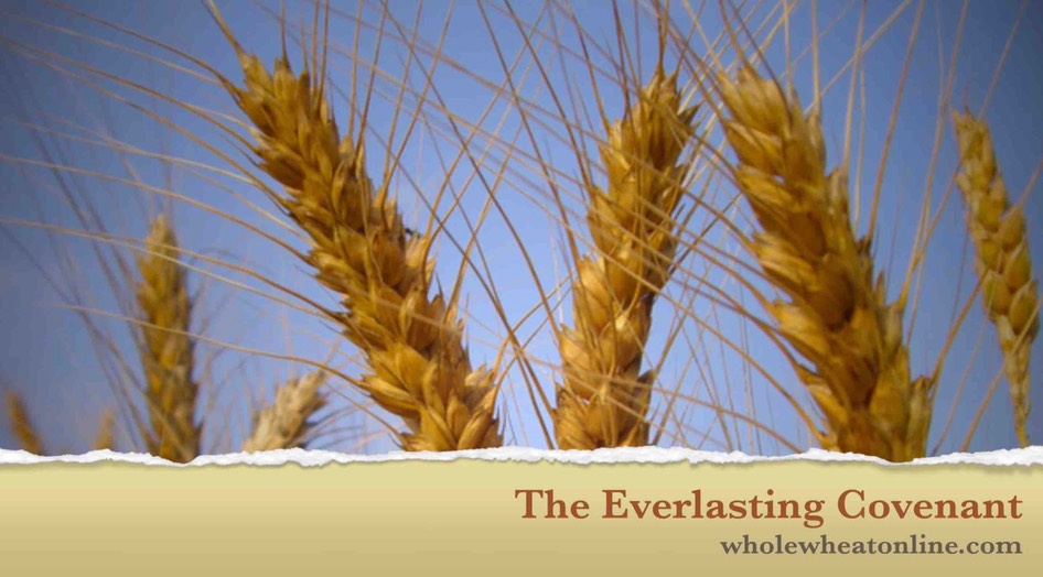 The Everlasting Covenant Podcast