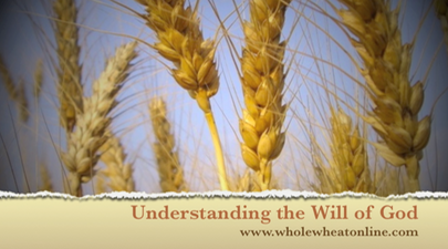 Understanding the WIll of God PIC